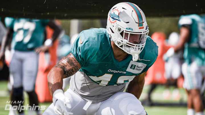 Dolphins Take Care of Some Business