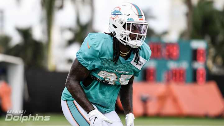 Breaking Down the Dolphins' Initial 53-Player Roster