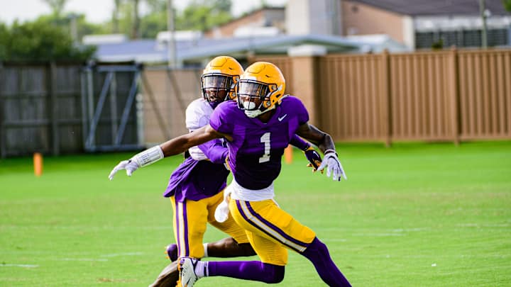 Who Are a Few Surprise Players LSU Football Veterans Feel Will Shock Fans in 2020?