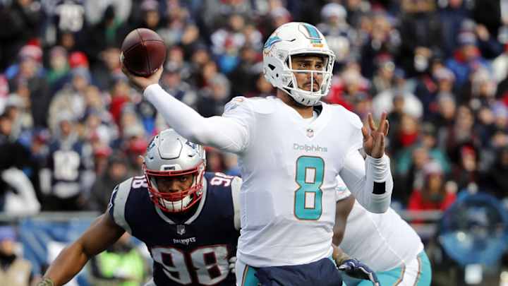 Number 8 and the Three Dolphins Who Wore It Best Number 8 and the Three Dolphins Who Wore It Best