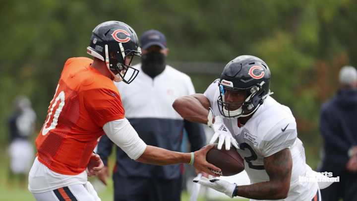 Bears Roster Tracker: Cutting Artavis Pierce May Say David Montgomery is Healthy