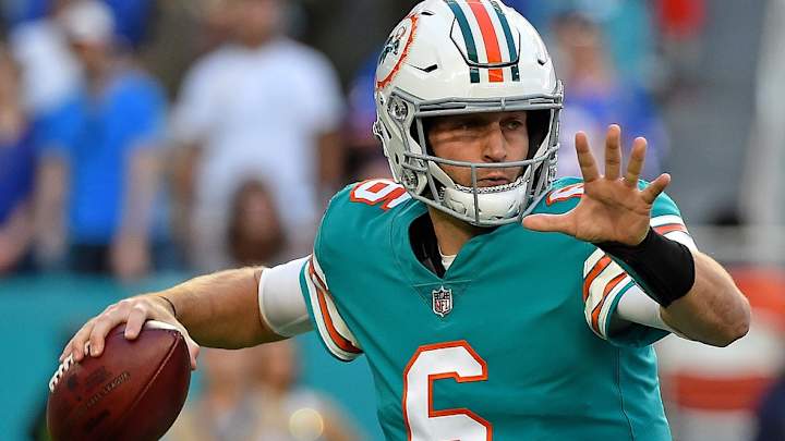 Number 6 and the Three Dolphins Who Wore It Best