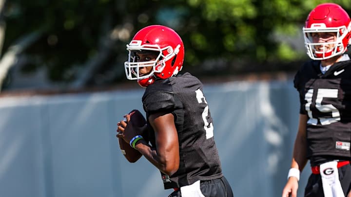 Georgia Fans Have Spoken, They Want D'Wan Mathis