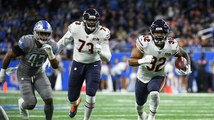 Bears Cautiously Head Outside Bubble with Curiosity