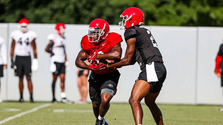 What Roles Will Georgia's Running Backs Fill in 2020 What Roles Will Georgia's Running Backs Fill in 2020
