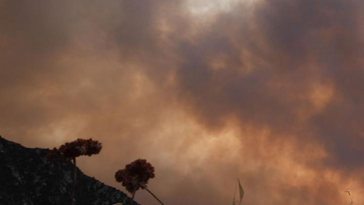 Could NFL Postpone Or Move Cowboys At Rams?