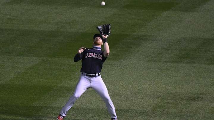 Drone Flying Over Wrigley Field Delays Indians and Cubs Game