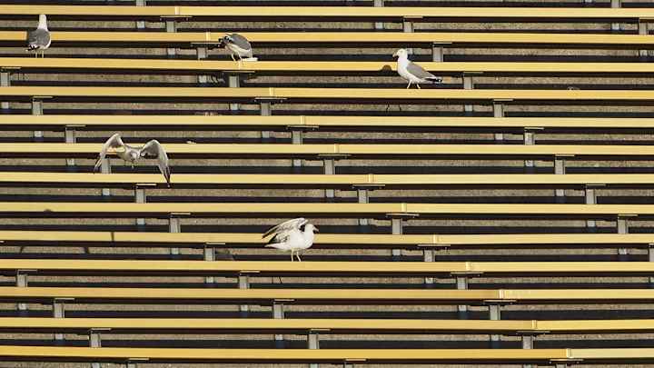 Cal Plays Its Toughest Foes at Home -- But Does It Matter?