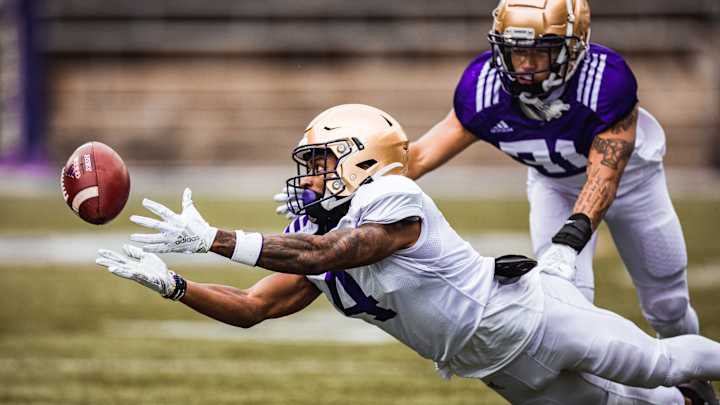 Trying to Decipher the UW Offense: Could It be Run-Oriented to Begin?