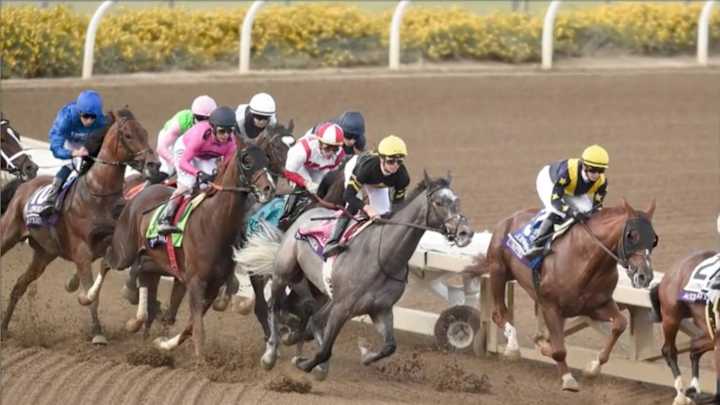 Race of the Week: Will the Canadian Triple Crown Champion Take Home the Breeders' Stakes?