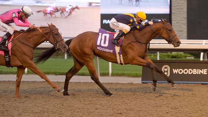 Horse Race of the Week: Don't be "Tricked" Into a Vulnerable Favorite on Halloween! Horse Race of the Week: Don't be "Tricked" Into a Vulnerable Favorite on Halloween!