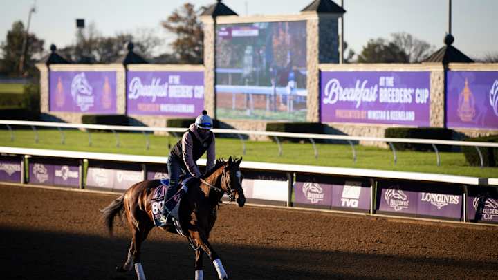 Friday Breeders’ Cup Highlighted Spotlight: $1 Million Juvenile Turf Sprint