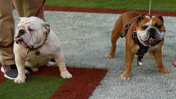 Cowbell Corner Crystal Ball: Predicting Mississippi State-Georgia