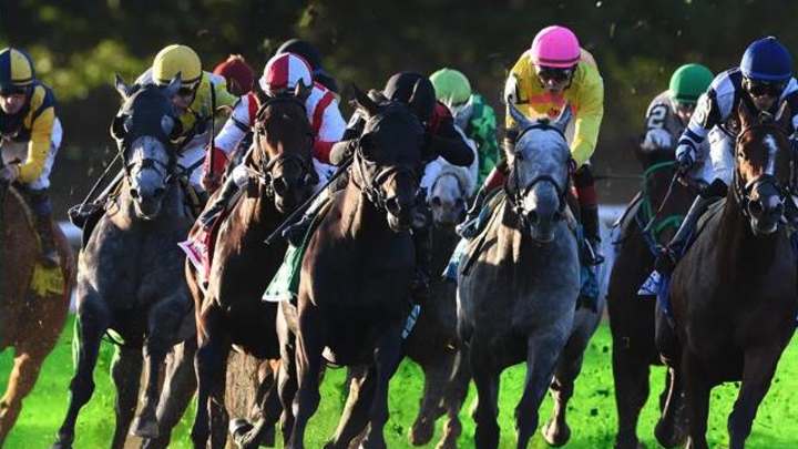 Race of the Week: Cigar Mile