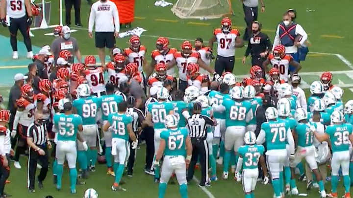 Watch: Brawl Breaks Out Between Bengals-Dolphins