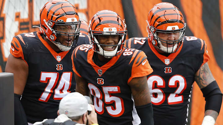 Rookie Breakdown: A Look Back at Tee Higgins' Impressive Season