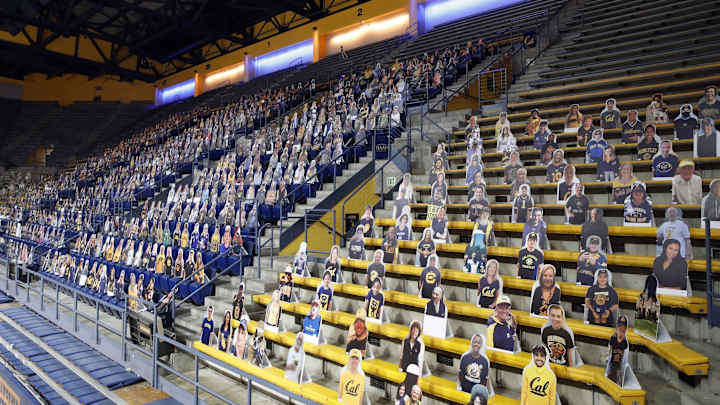 Cal Year in Review: 2020 Was Like No Other - Thank Goodness It's Over!