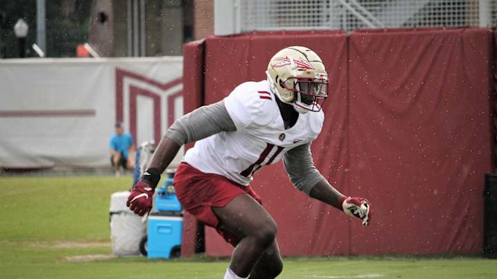 2021 NFL Draft Prospect Profile: Edge Janarius Robinson, Florida State