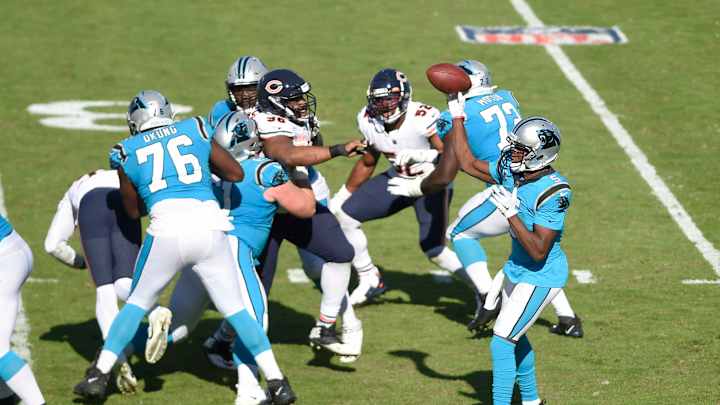 Whether Teddy Could Be a Bear