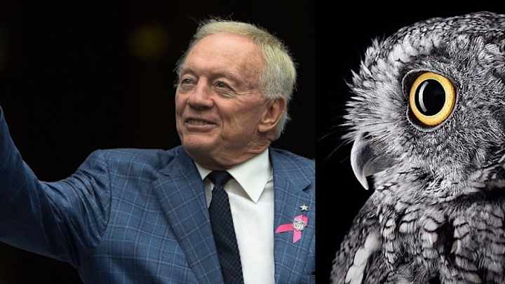 Cowboys' Jerry Jones On Farm Animals' Lovemaking: Top 10 'Jerryisms' Cowboys' Jerry Jones On Farm Animals' Lovemaking: Top 10 'Jerryisms'
