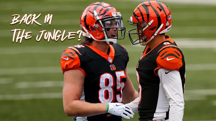 Should Bengals Reunite With Tyler Eifert in Quest to Put More Weapons Around Joe Burrow?