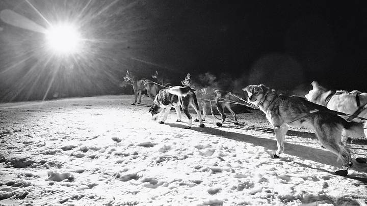 Two Weeks in Alaska, Photographing the Iditarod Two Weeks in Alaska, Photographing the Iditarod
