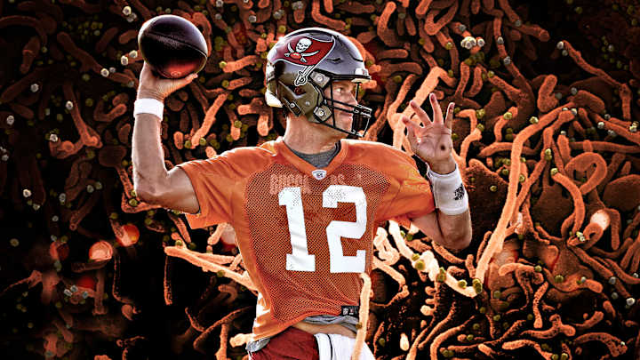 When the World Stopped, the NFL Didn’t