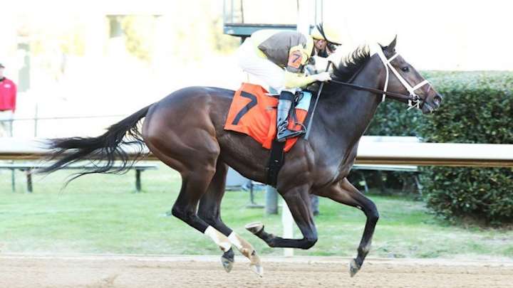 Horse Race of the Week: 2021 Rebel Stakes