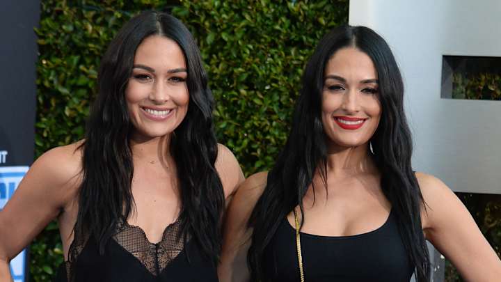 WWE's Nikki and Brie Bella Welcome Baby Boys One Day Apart WWE's Nikki and Brie Bella Welcome Baby Boys One Day Apart