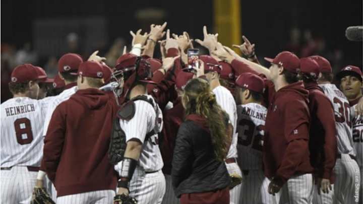 Baseball Falls to Clemson in Series Opener