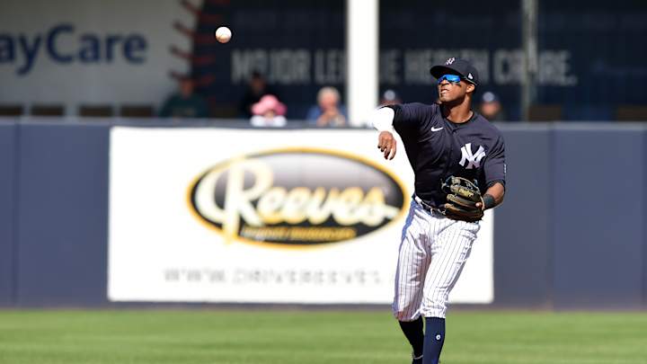 Could Non-Roster Invitee Rosell Herrera Play His Way into Earning a Yankees' Opening Day Roster Spot?