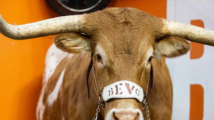 Texas Baseball: Horns Blow Past Cal-State Fullerton (Watch Highlights)