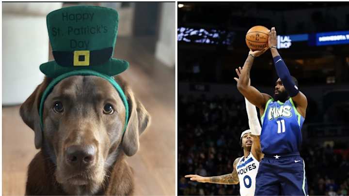 Keep Calm and Sports On: Tim Hardaway Jr. and Dogs Will Make You Smile Today