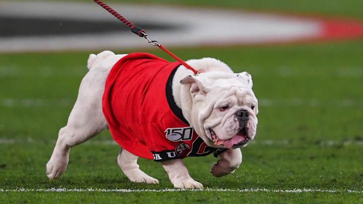 Olympics Postponed: Georgia Bulldogs Miss Out Due to COVID-19 Outbreak