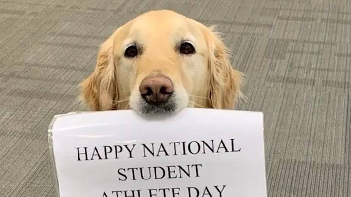 UNC AD and Coaches Celebrate 'National Student-Athlete Day'