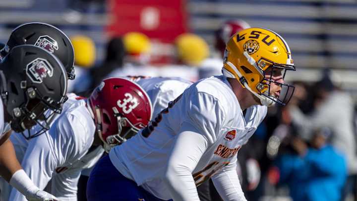 New Dolphins Snapper Has Perfect Training Partner