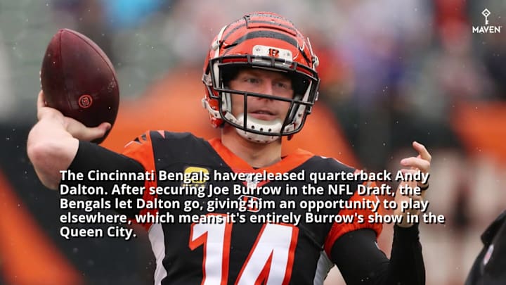 Cincinnati Bengals Release Andy Dalton