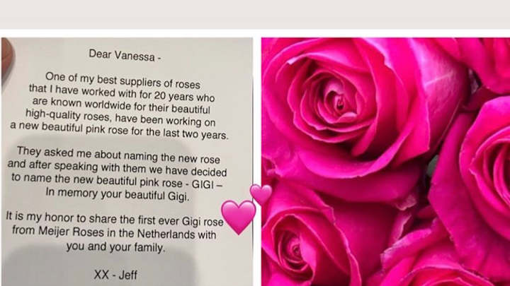 A New Variety Of Pink Roses Was Named After Vanessa Bryant's Daughter Gianna A New Variety Of Pink Roses Was Named After Vanessa Bryant's Daughter Gianna