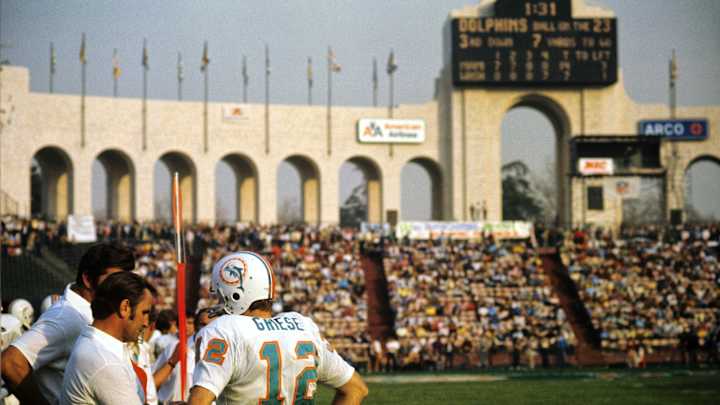 Number 12 and the Three Dolphins Who Wore It Best Number 12 and the Three Dolphins Who Wore It Best