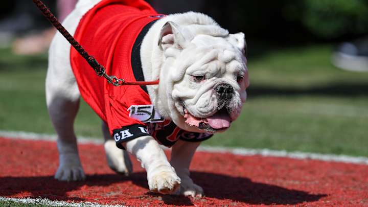 Georgia Track: Senior Spring Athletes Make the Decision to Return for One More Year Georgia Track: Senior Spring Athletes Make the Decision to Return for One More Year