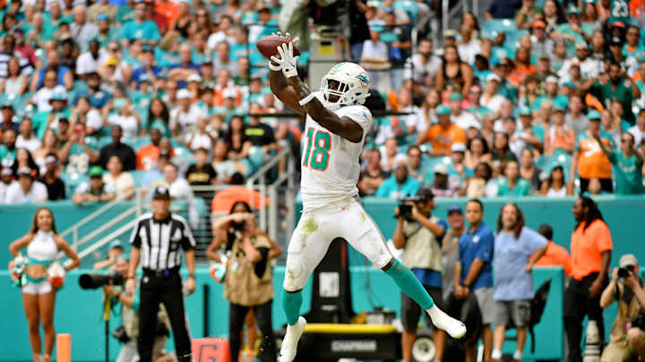 Number 18 and the Three Dolphins Who Wore It Best