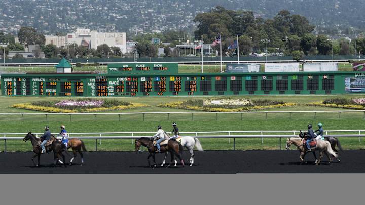 How Golden Gate Fields' Opening for Horse Racing Impacts Athletics & Coliseum