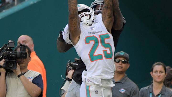 Dolphins on the Comeback Trail