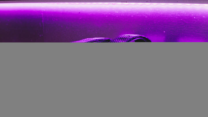 LSU Football Strength Coach Tommy Moffitt Recaps First Week of Workouts, How Technology Has Helped in Return LSU Football Strength Coach Tommy Moffitt Recaps First Week of Workouts, How Technology Has Helped in Return