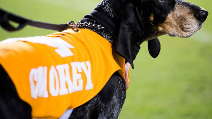 ESPN Analyst Predicts Tennessee Will Be "Right There" With Florida and Georgia ESPN Analyst Predicts Tennessee Will Be "Right There" With Florida and Georgia