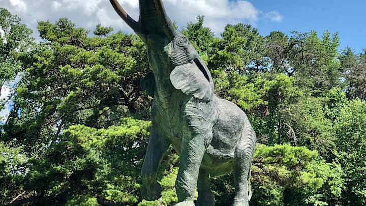 Postcard From The Tuscaloosa "Zoo"