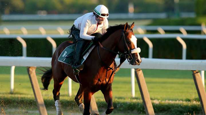 Belmont Stakes: Handicapping & Betting Breakdown