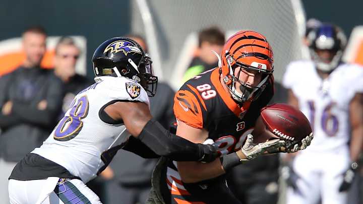 Drew Sample is 100 percent healthy and hoping to make an impact for the Bengals this season