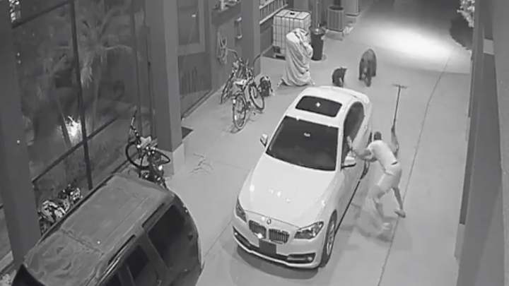 Watch: Ha Ha Clinton-Dix Escapes Da Bears Watch: Ha Ha Clinton-Dix Escapes Da Bears