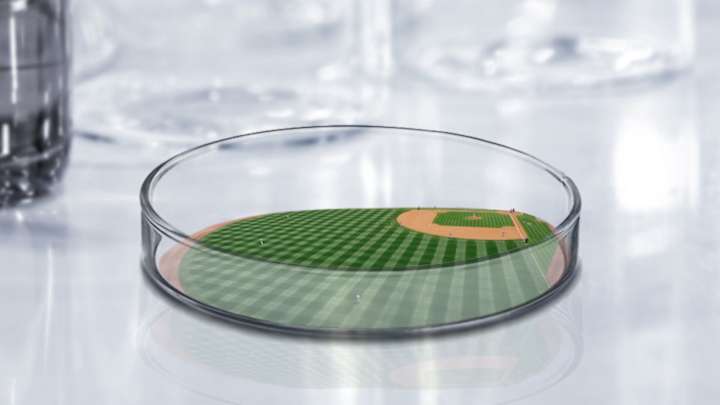 Would MLB Be Better Off in a Bubble? Experts Say ... Maybe